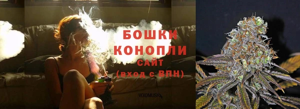 гидра Белоозёрский