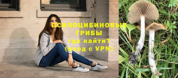 гидра Белоозёрский