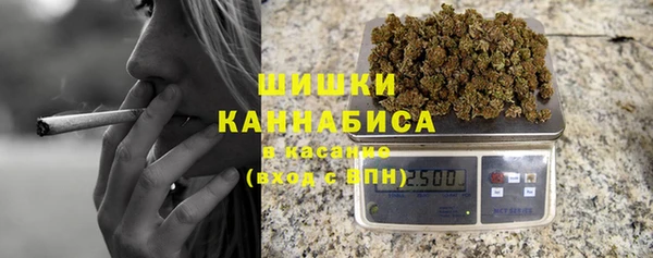 гидра Белоозёрский
