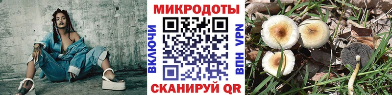 Псилоцибиновые грибы мицелий  нарко площадка Telegram  Куса  цены наркотик 